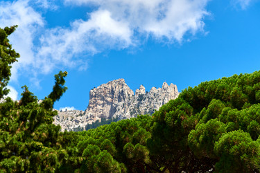 Similar image 21553741