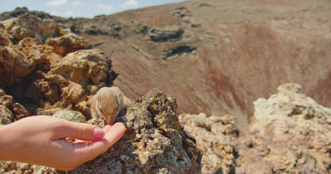 Similar image 21562203