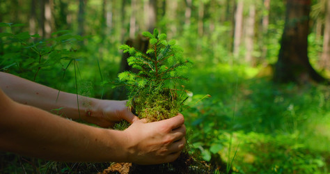 Similar image 21562205