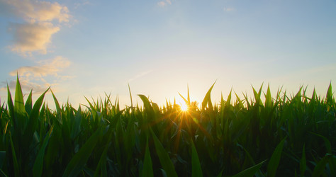 Similar image 21553468