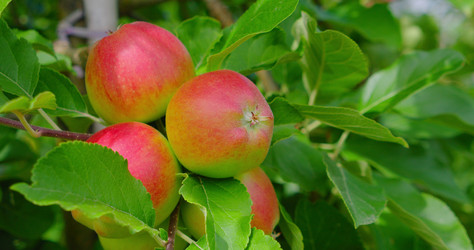 Similar image 21553469