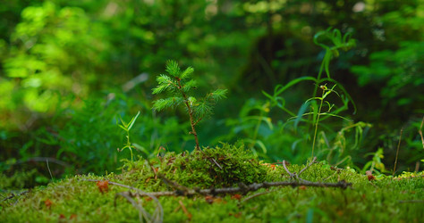 Similar image 21553471