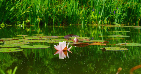 Similar image 21553472