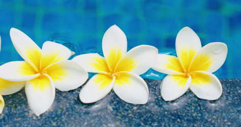 Similar image 21562415