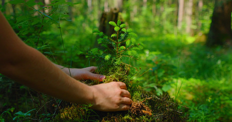 Similar image 21562418