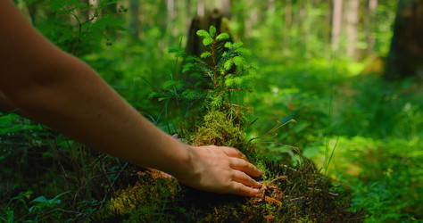 Similar image 21562419