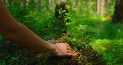 Similar image 21562420