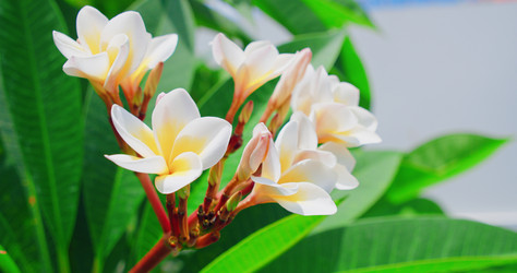 Similar image 21562422