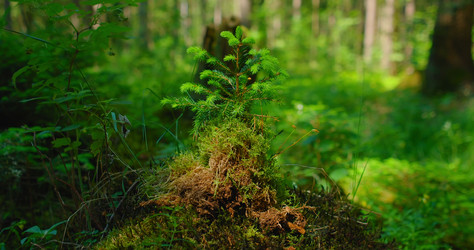 Similar image 21562424