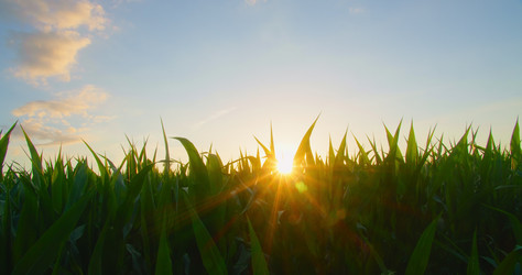 Similar image 21562428