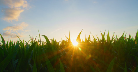 Similar image 21562430