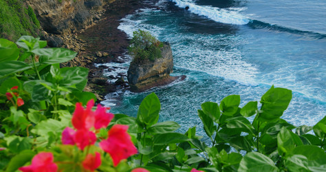 Similar image 21562433