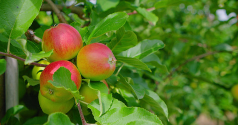 Similar image 21553475