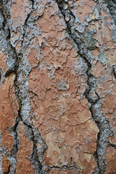 Similar image 21553560