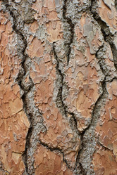 Similar image 21553563