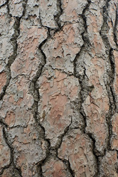 Similar image 21553564