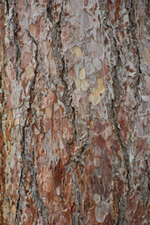 Similar image 21553567