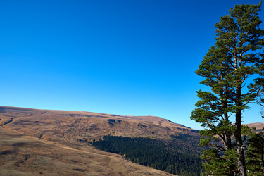 Similar image 21553569