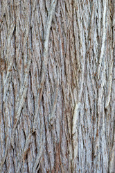 Similar image 21553572