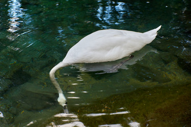 Similar image 21553575