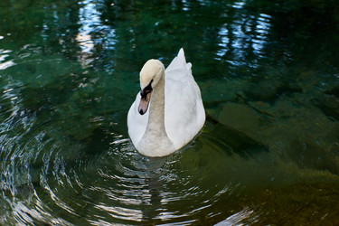 Similar image 21553576