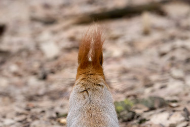 Similar image 21553606