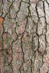 Similar image 21553607