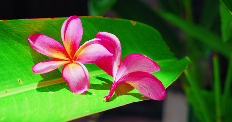 Similar image 21562436