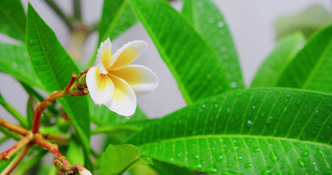 Similar image 21553476