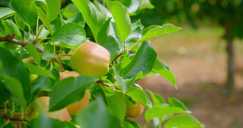 Similar image 21562437