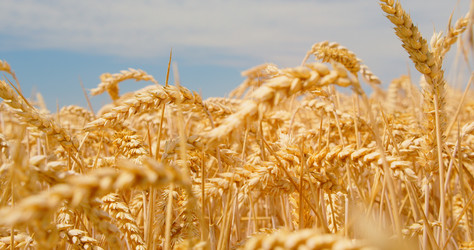 Similar image 21553478