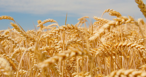 Similar image 21562441