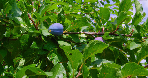 Similar image 21562445