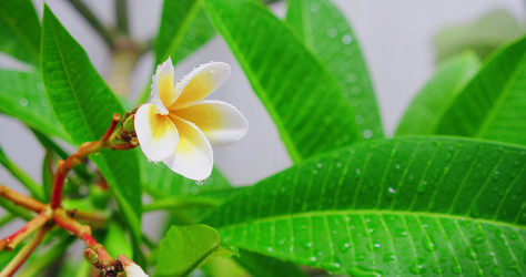 Similar image 21553479