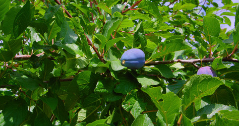 Similar image 21562448