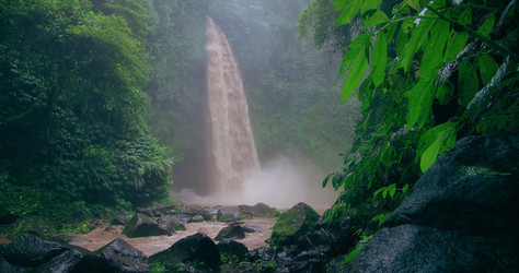 Similar image 21562455