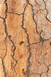 Similar image 21553608