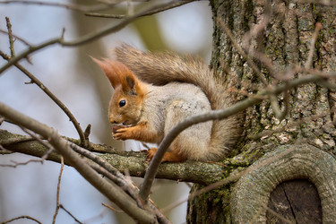 Similar image 21553614