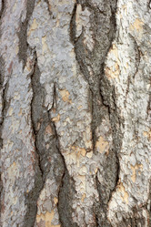 Similar image 21553615