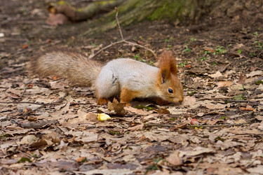 Similar image 21553618