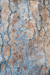 Similar image 21553620