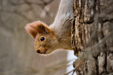 Similar image 21553622