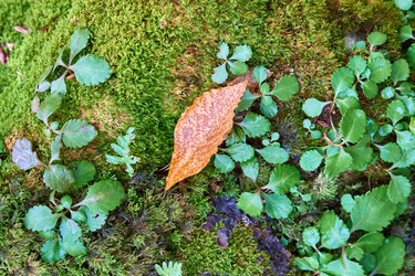 Similar image 21553625