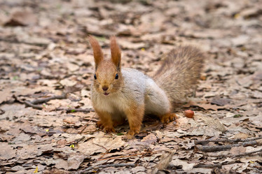 Similar image 21553634