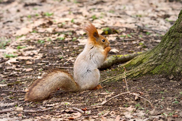 Similar image 21553639