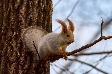 Similar image 21553753