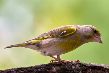 Similar image 21553754