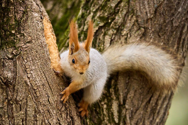 Similar image 21553755