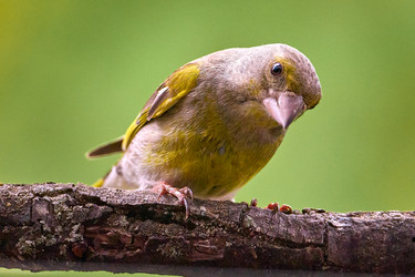 Similar image 21553756