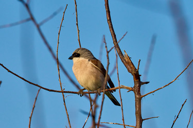 Similar image 21553760